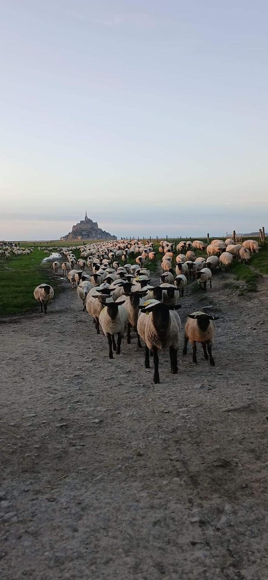 Huisnes-sur-MerVue Exceptionnelle Sur Le Mont Saint Michel别墅 外观 照片